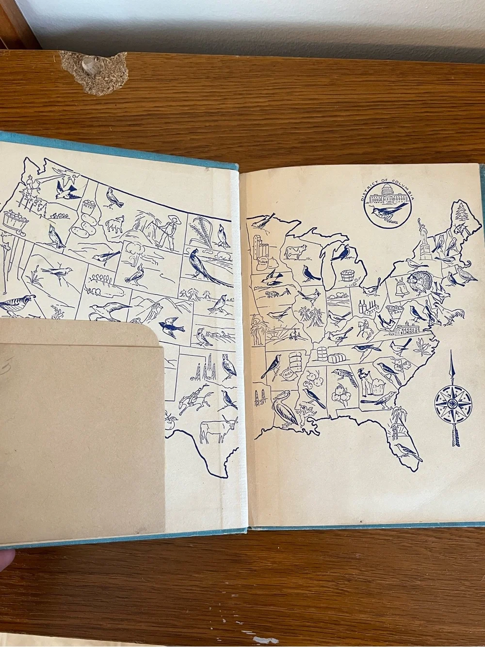 Our State Birds by Mary I. Curtis - Blue Cover Edition